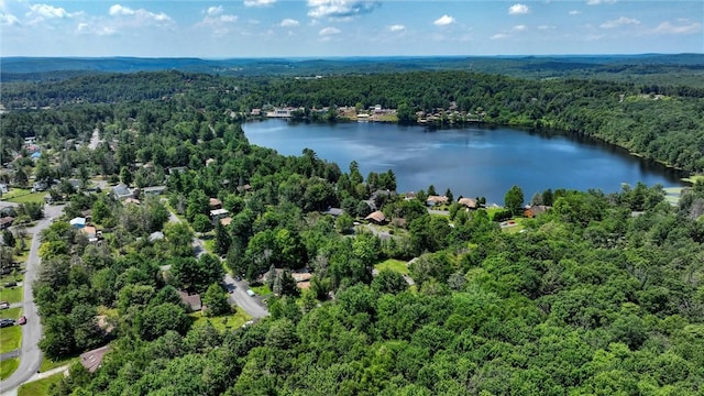 drone / aerial view with a forest view and a water view