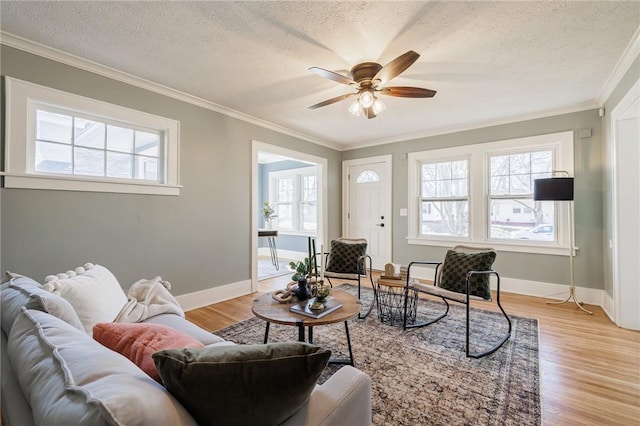 living area featuring light wood-type flooring, baseboards, a textured ceiling, and crown molding