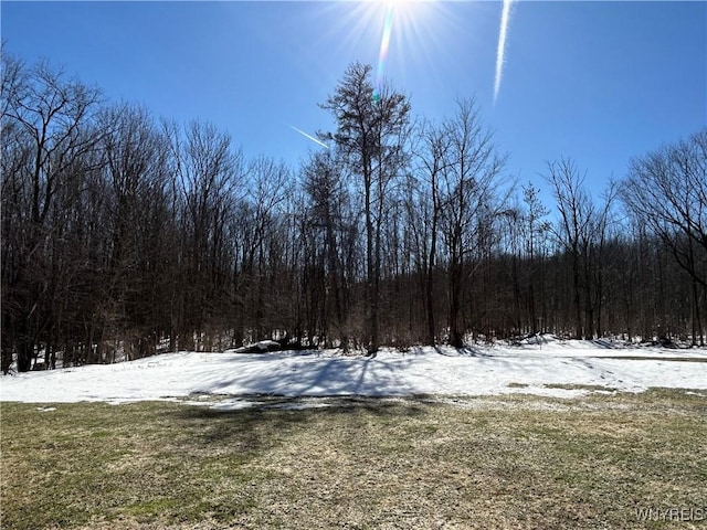 yard covered in snow featuring a wooded view