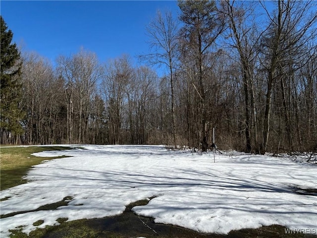 snowy yard featuring a wooded view