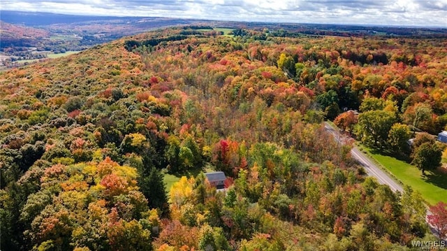 bird's eye view with a wooded view