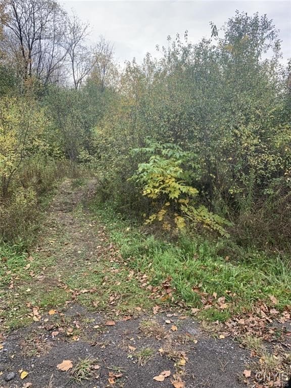 0 Martin St, Rome-Outside NY, 13440 land for sale