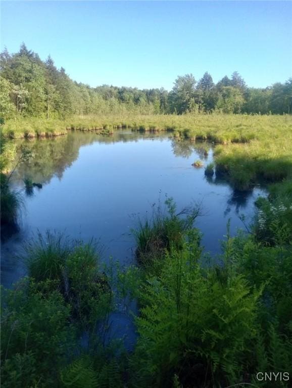 water view with a forest view