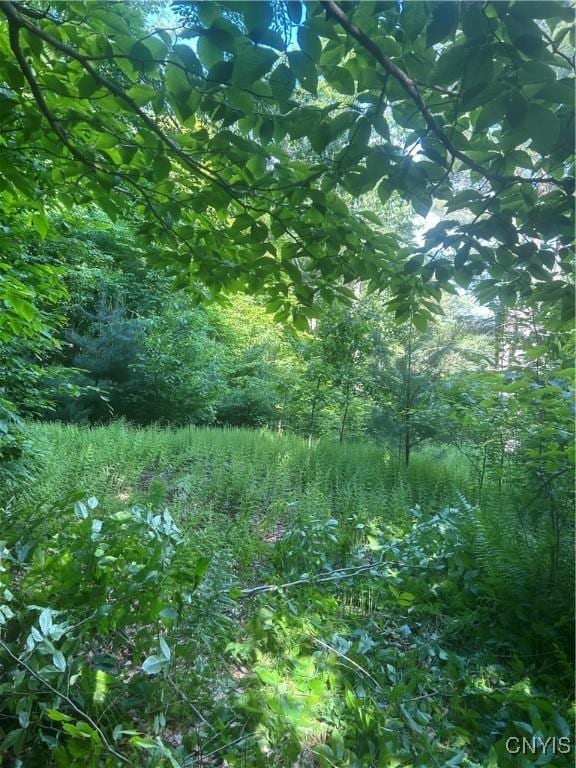 view of nature with a view of trees