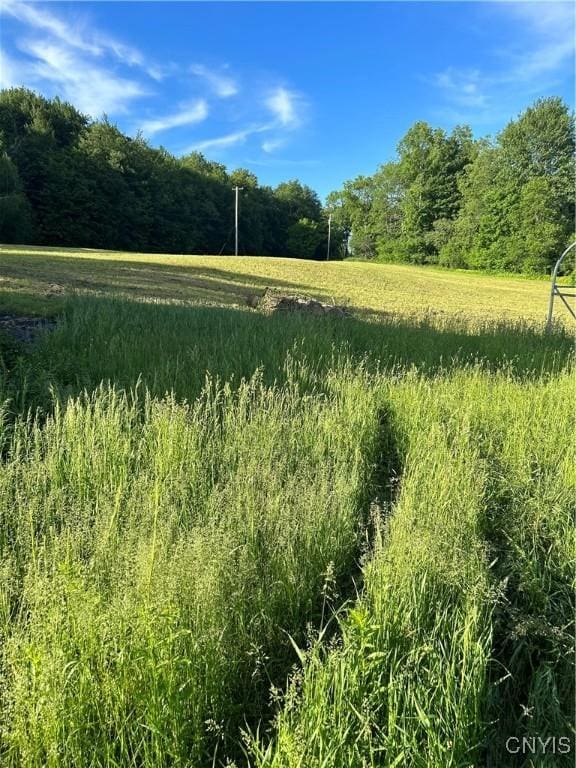 view of nature featuring a wooded view