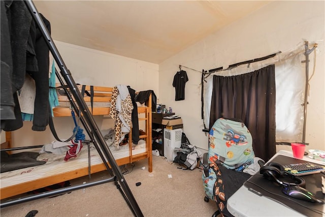 workout room with carpet floors