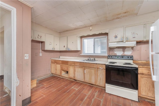 kitchen featuring light wood finished floors, range with electric cooktop, under cabinet range hood, light countertops, and a sink