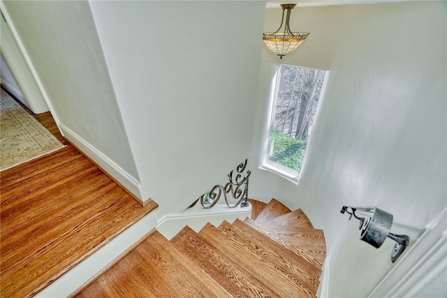 staircase featuring baseboards and wood finished floors