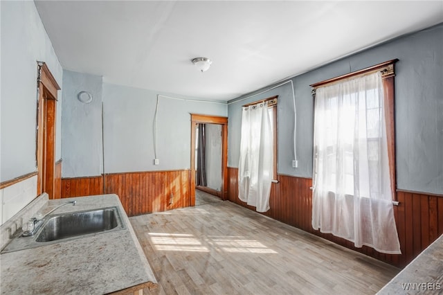 spare room with a sink, light wood-style flooring, wainscoting, and wood walls