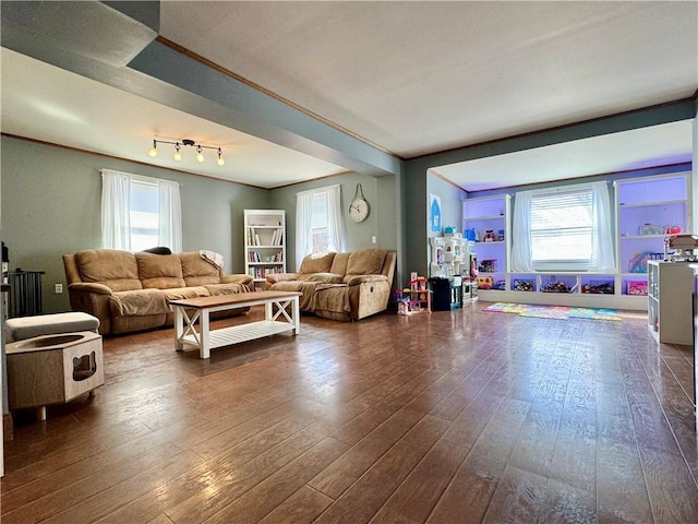 464 Pine St, Erwin, NY 14870 - living room featuring dark wood finished floors and crown molding
