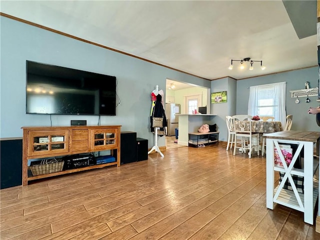 464 Pine St, Erwin, NY 14870 - living room with crown molding, wood finished floors, and baseboards
