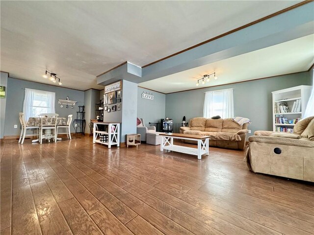 464 Pine St, Erwin, NY 14870 - living area featuring wood-type flooring, ornamental molding, and rail lighting