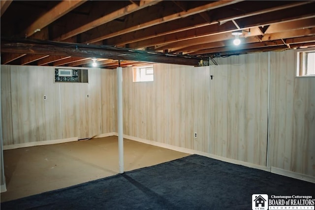 basement with wooden walls and a healthy amount of sunlight