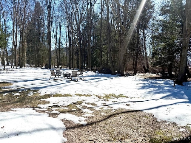 yard covered in snow featuring a wooded view