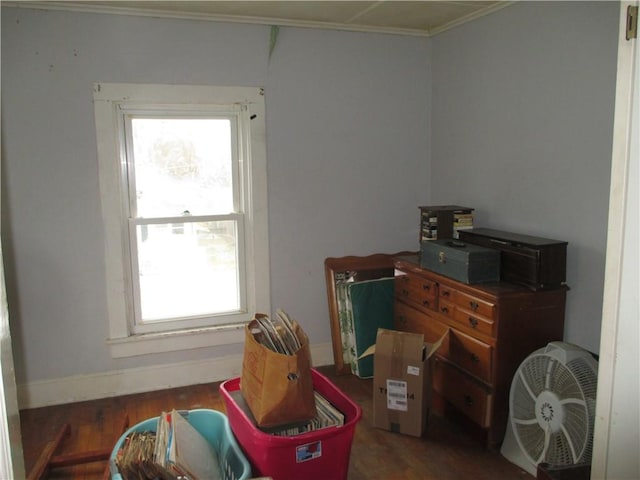 interior space featuring wood finished floors, baseboards, and ornamental molding