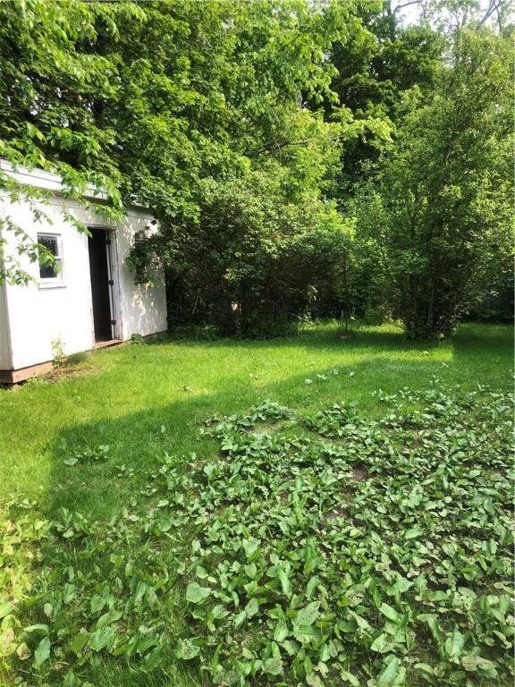 15 8th St, Oneonta-City, NY 13820 - view of green lawn