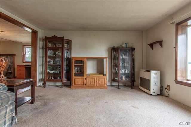 living area with heating unit and light carpet