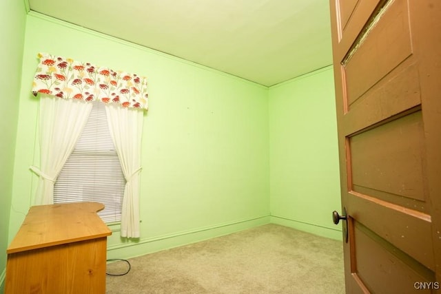 310 E German St, Herkimer, NY 13350 - interior space with carpet floors