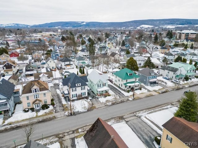 310 E German St, Herkimer, NY 13350 - drone / aerial view with a mountain view and a residential view