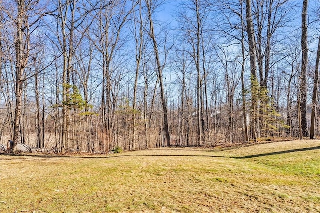 view of yard featuring a wooded view