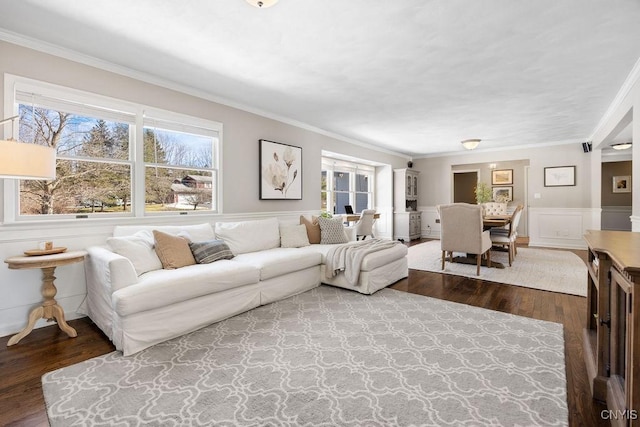 living room with wood finished floors, a wainscoted wall, and ornamental molding