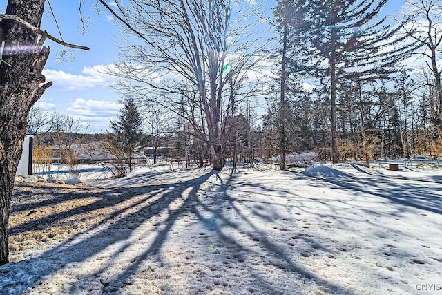 view of yard layered in snow