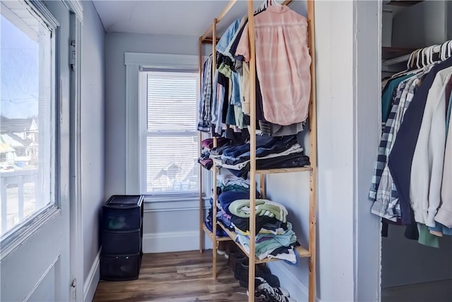 spacious closet featuring wood finished floors