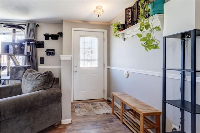 foyer entrance featuring wood finished floors and a healthy amount of sunlight