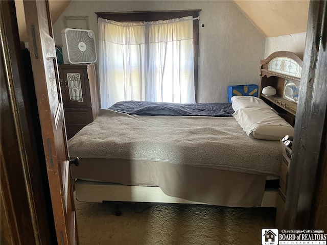 bedroom featuring vaulted ceiling