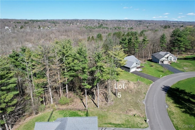 4644LOT8 Pauli Dr, Manlius, NY 13104 - photo 41