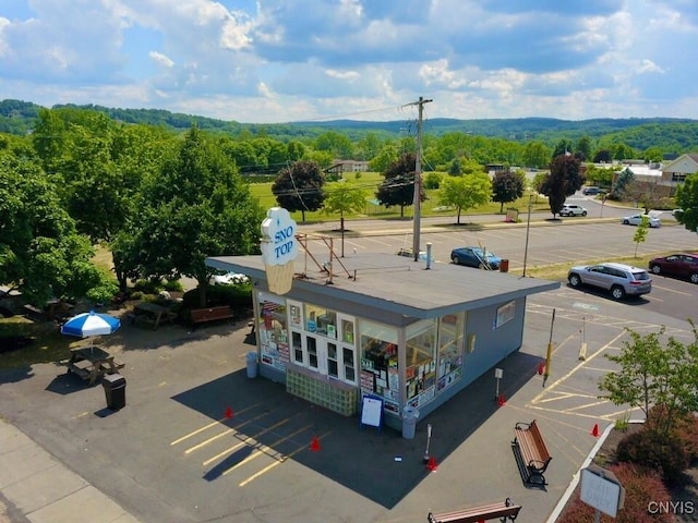 bird's eye view