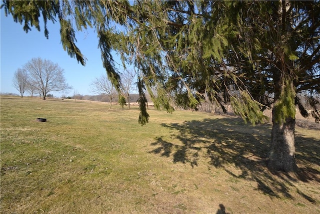 view of yard featuring a rural view