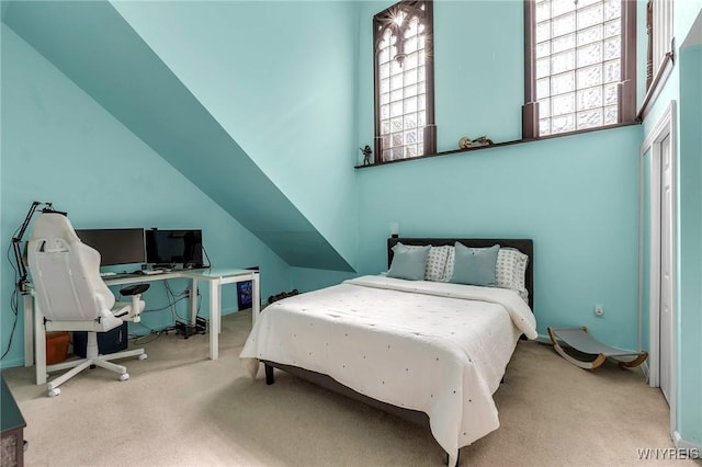 233 Richmond Ave Unit 15, Buffalo, NY 14222 - view of carpeted bedroom