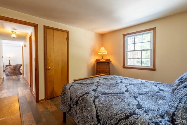 bedroom featuring wood finished floors and a closet