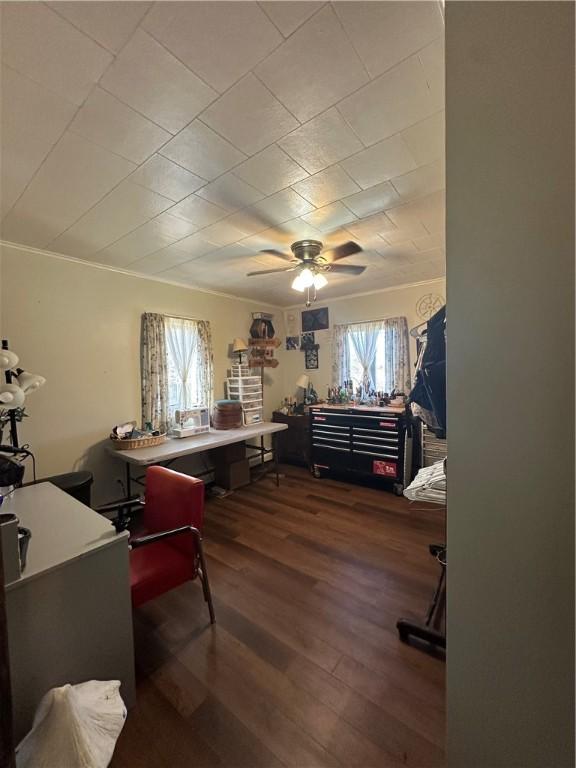 office space featuring ornamental molding, a ceiling fan, and wood finished floors