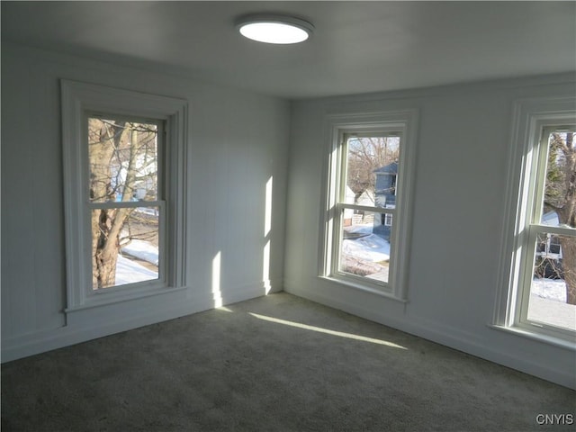 unfurnished room with carpet and a wealth of natural light