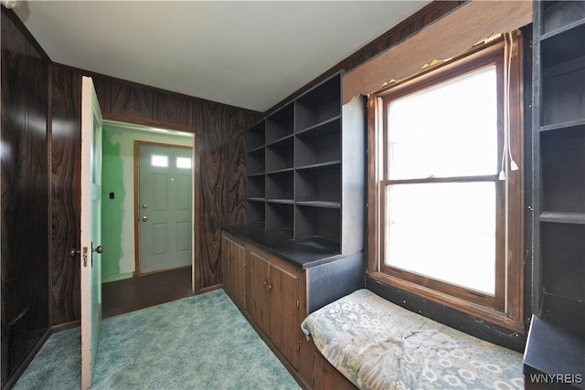 mudroom featuring wooden walls and carpet flooring