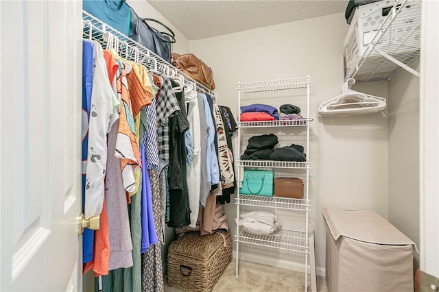 walk in closet with carpet floors