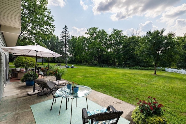 view of yard featuring a patio area