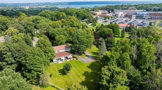 aerial view with a view of trees