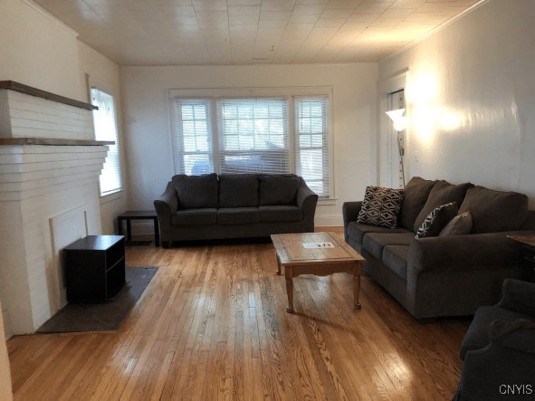 living room with light wood-type flooring