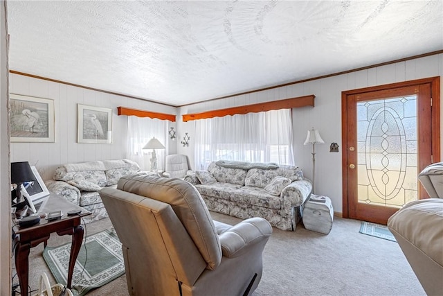 living room featuring ornamental molding, carpet floors, and a textured ceiling