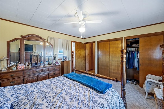 carpeted bedroom with multiple closets, ceiling fan, and crown molding