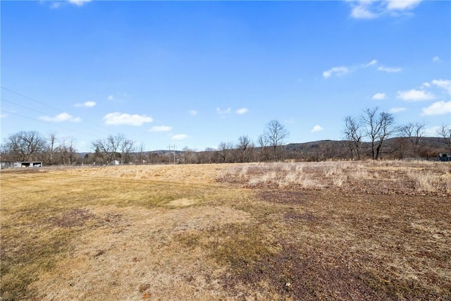 view of local wilderness with a rural view