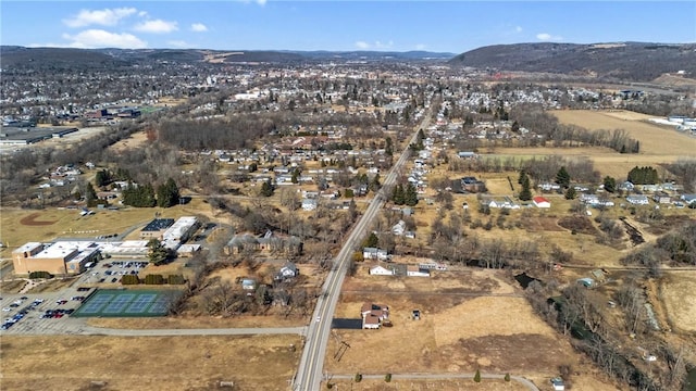 birds eye view of property featuring a mountain view