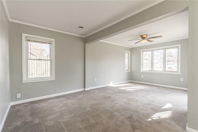 unfurnished room with a wealth of natural light, carpet floors, baseboards, and ornamental molding