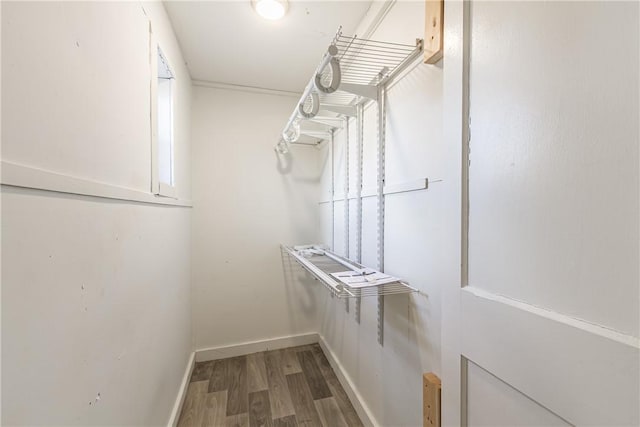 spacious closet with wood finished floors