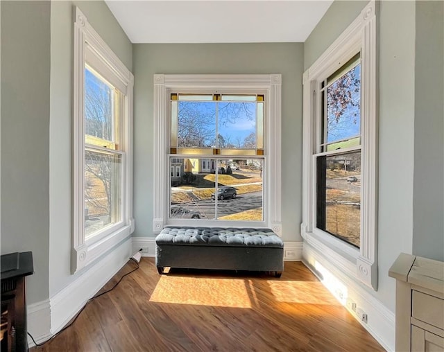 interior details featuring baseboards and wood finished floors