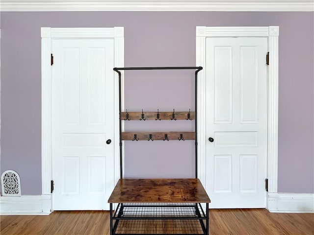 mudroom featuring crown molding and wood finished floors