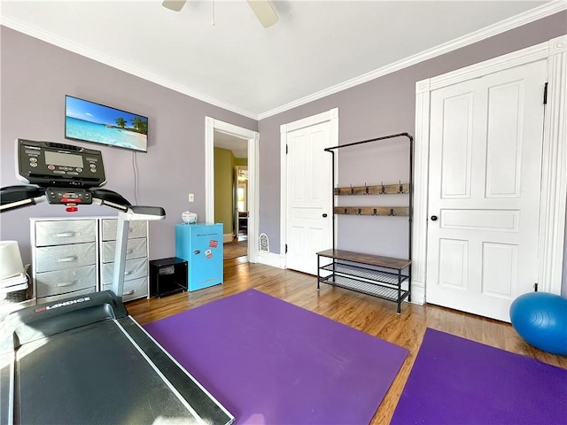 exercise area featuring crown molding, ceiling fan, and wood finished floors